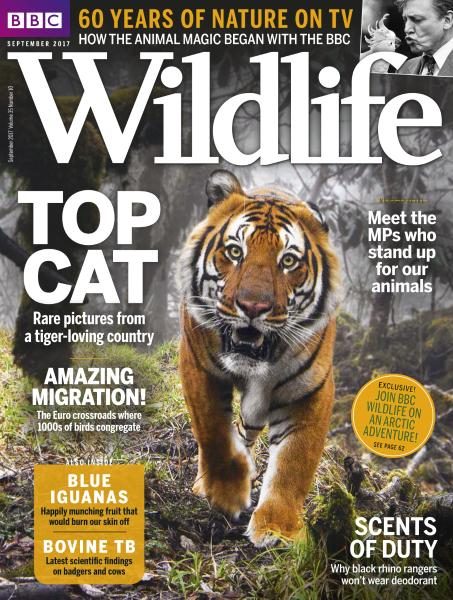 BBC Wildlife（BBC野生动物） 2017年9月