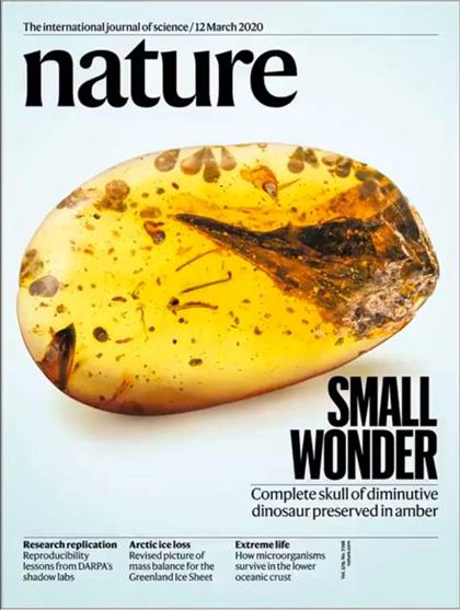 自然（Nature）2020年3月12日