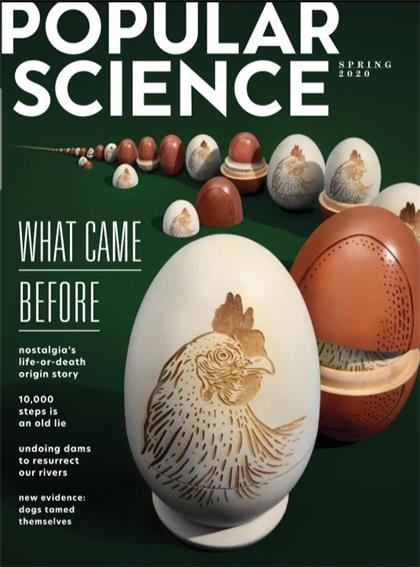 大众科学（Popular Science）2020年春季刊