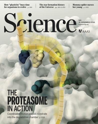 科学（Science）2018年11月30日