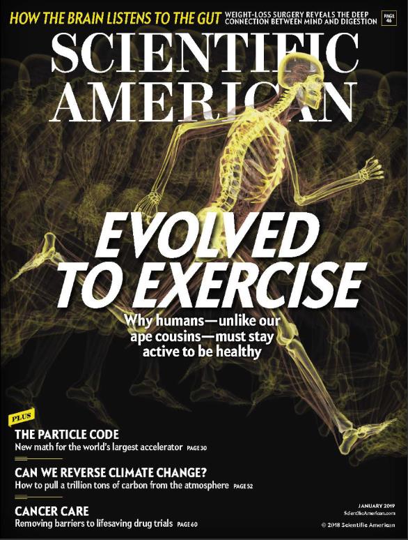 科学美国人（Scientific American）2019年1月