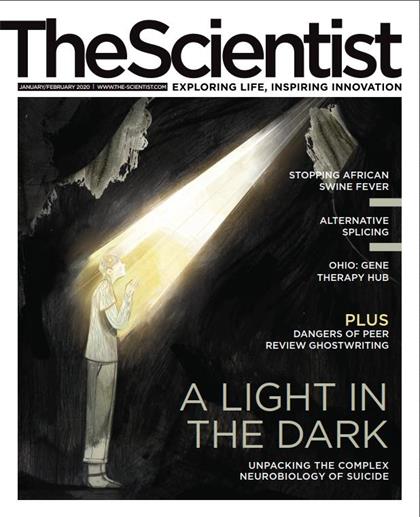 科学家（The Scientist）2020年1-2月合刊