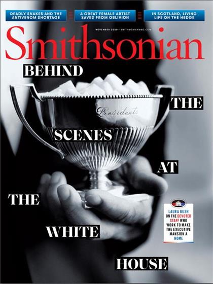 史密森尼（Smithsonian）2020年11月
